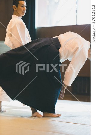 martial artist martial artist 27012512