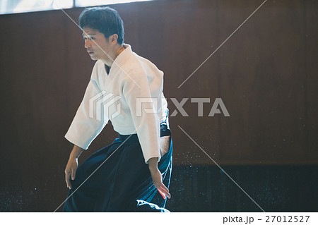 martial artist martial artist 27012527