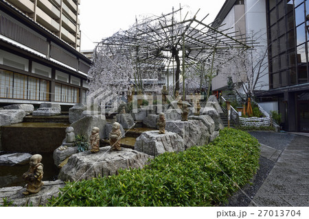 六角堂 御幸桜 六角堂 御幸桜 27013704