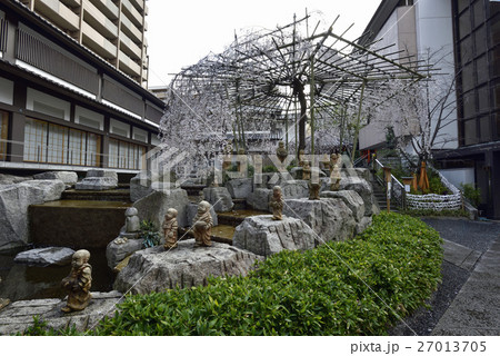 六角堂 御幸桜 六角堂 御幸桜 27013705