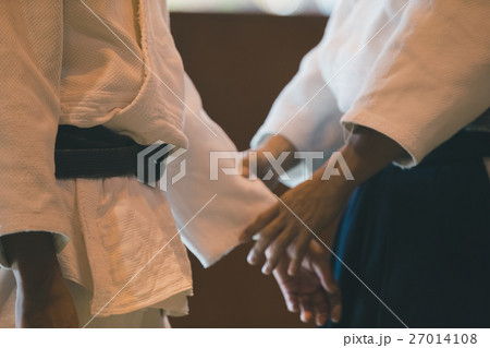 martial artist martial artist 27014108