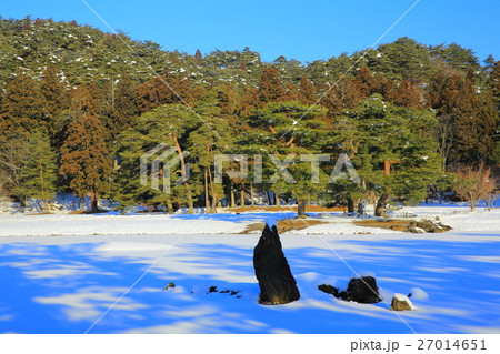世界遺産　平泉　冬の毛越寺 27014651