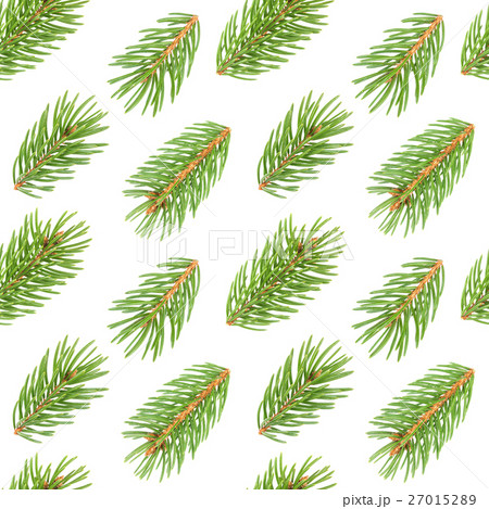 Seamless pattern of fir tree branches Seamless pattern of fir tree branches 27015289