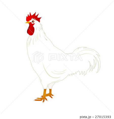 鶏 鶏 27015393