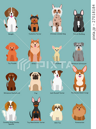 小型犬の種類のイラスト素材
