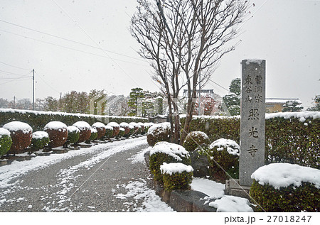 見沼田圃：雪降る照光寺 27018247
