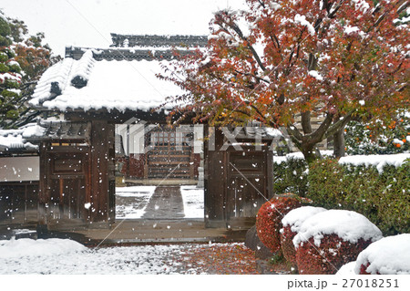 見沼田圃：雪降る照光寺 27018251