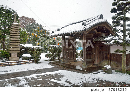 見沼田圃：雪降る照光寺 27018256