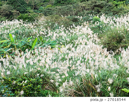 秋 あき 秋の 27018544