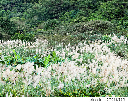 秋 あき 秋の 27018546