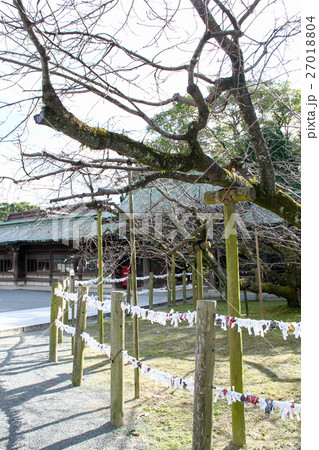 宮地嶽神社の境内 宮地嶽神社の境内 27018804
