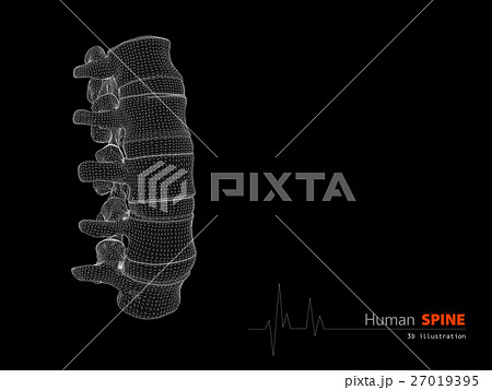 3d Illustration of Human spine abstract scientific 27019395