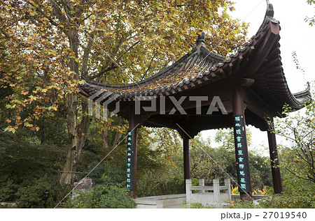 黄鶴楼　紅葉 27019540