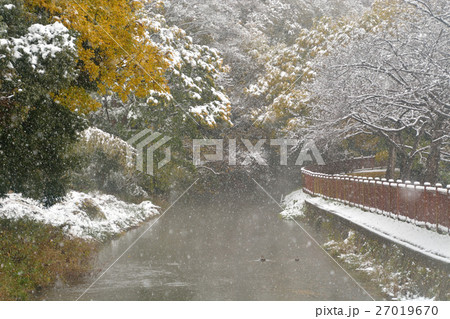 見沼田圃:見沼代用水東縁 見沼田圃:見沼代用水東縁 27019670