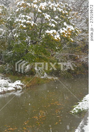 見沼田圃：見沼代用水東縁　 27019672