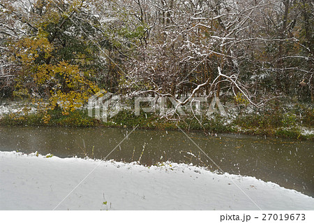 見沼田圃:見沼代用水東縁 見沼田圃:見沼代用水東縁 27019673