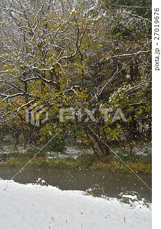 見沼田圃:見沼代用水東縁 見沼田圃:見沼代用水東縁 27019676