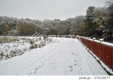 見沼田圃:見沼代用水東縁 見沼田圃:見沼代用水東縁 27019677