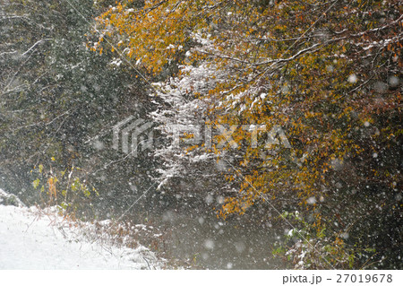 見沼田圃:見沼代用水東縁 見沼田圃:見沼代用水東縁 27019678