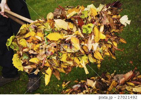 26153 26153 27021492