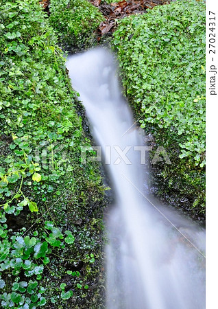 山の湧水 山の湧水 27024317