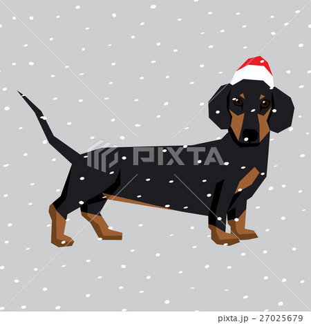 Vector Dogs Collection 27025679