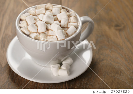 cup of homemade hot chocolate with marshmallows 27027829