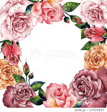 Wildflower rose flower frame in a watercolor style 27029697