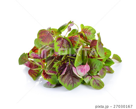 Red spinach on wooden background 27030167