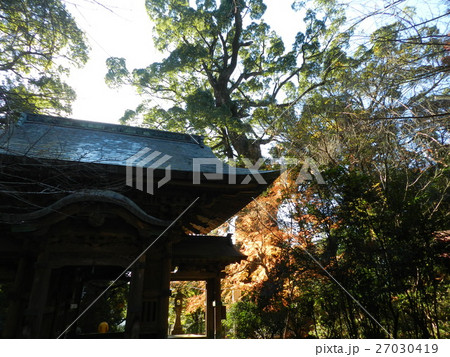 柞原八幡宮の紅葉 柞原八幡宮の紅葉 27030419