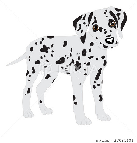 Dalmatians, cute puppy, sad. Vector Illustration 27031101