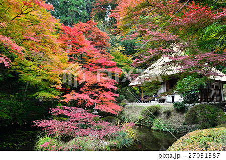 紅葉と茅葺の古民家 27031387