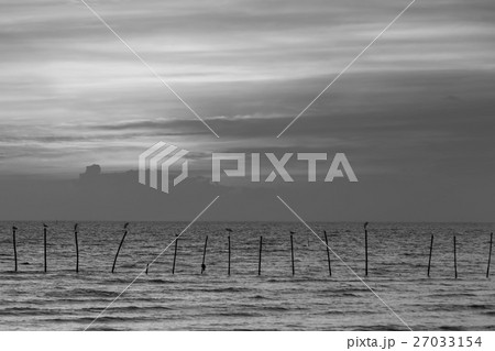 Sunset over coastline Sunset over coastline 27033154