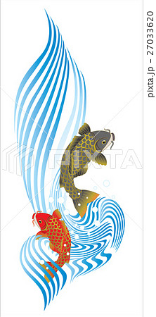 鯉の滝登り 夫婦鯉のイラスト素材