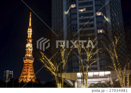 芝公園と東京タワーライトアップ 27034981