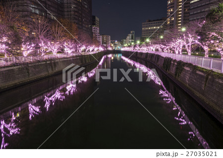 目黒川ピンクイルミネーション 目黒川ピンクイルミネーション 27035021