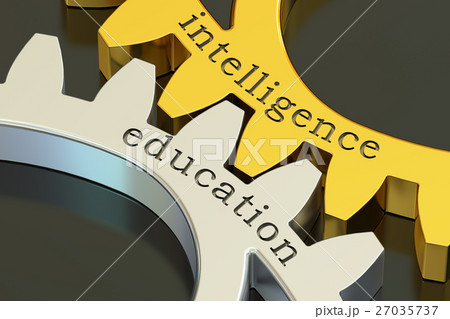 intelligence education concept on the gearwheels 27035737