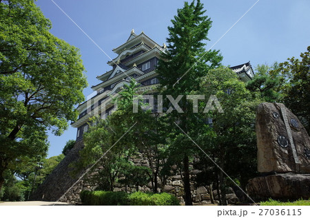烏城_岡山城 27036115