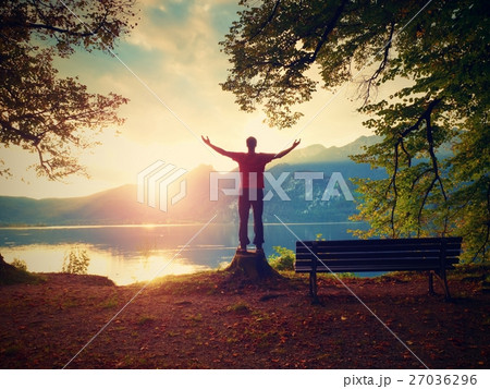 Happy man with rised arms stand on tree stump 27036296