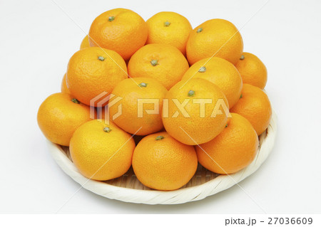 小玉みかん 27036609