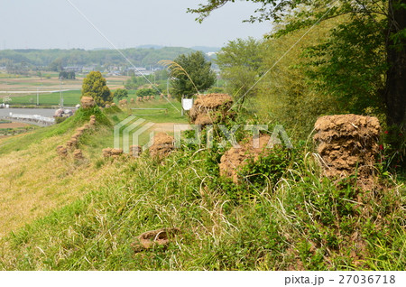 猪俣百八燈（埼玉県児玉郡美里町猪俣） 27036718