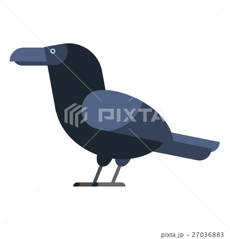 Carrion crow raven vector illustration. 27036883