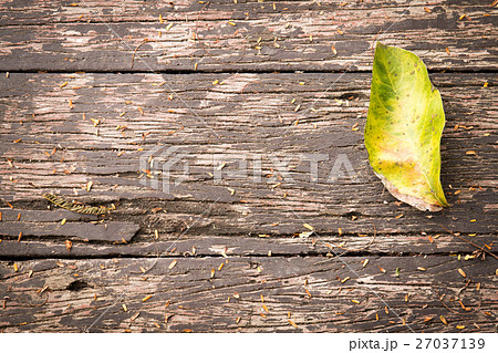 Green leaf on a wood texture 27037139