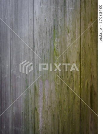 Wood texture background Wood texture background 27038430