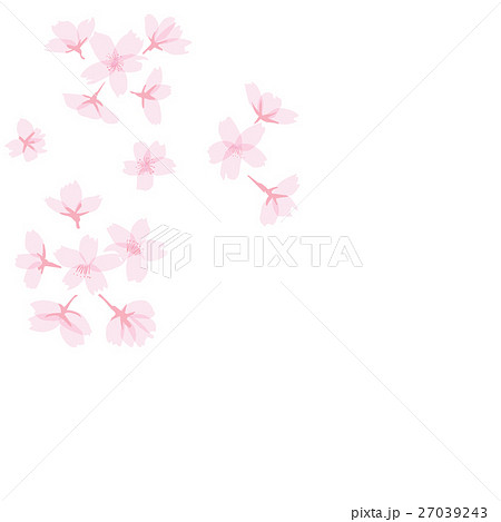 さくら 花 イラスト のイラスト素材 27039243 Pixta