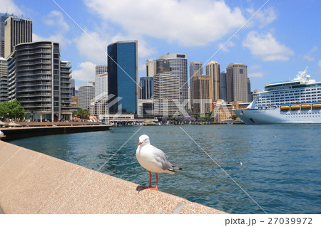 サーキュラー・キュー サーキュラー・キュー 27039972