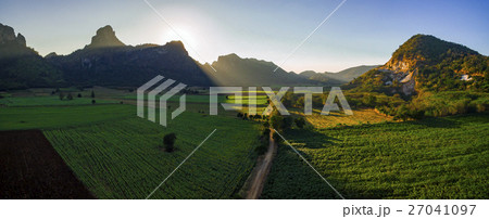 sun light on sunflowers and agriculture field 27041097