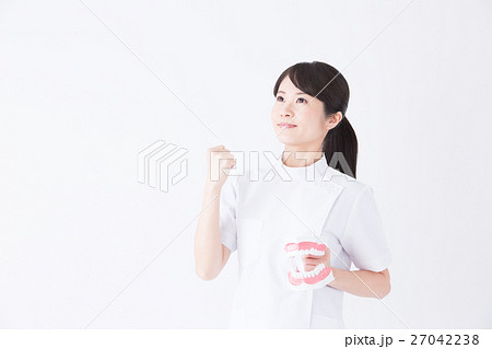 歯科衛生士 27042238