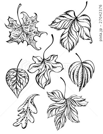 Set of contour leaves 27042376