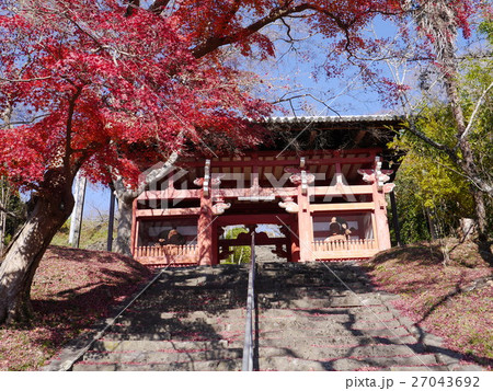 直川観音山門　本恵寺山門 27043692